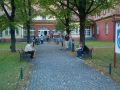 IM003828.jpg